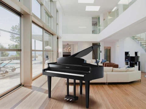 Chọn đàn Grand Piano hay Upright Piano