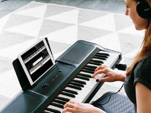 Mới học nên mua đàn piano điện giá bao nhiêu?