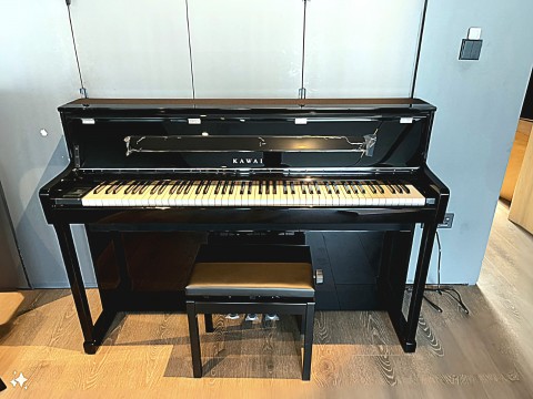 KAWAI CA901 EP