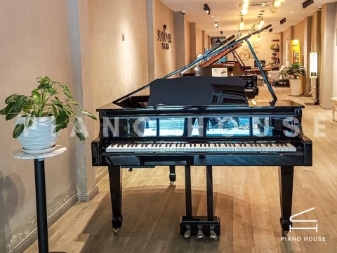 So sánh đàn Piano Kawai NV10S và Roland GP-609