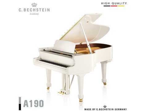 C.Bechstein Academy A190