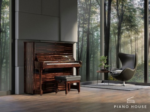 Trải Nghiệm C.Bechstein C8 Đủ Phiên Bản Màu Tại Showroom Châu Âu