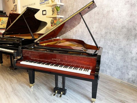 Top 10 địa chỉ bán đàn Piano chất lượng nhất tại TP.HCM