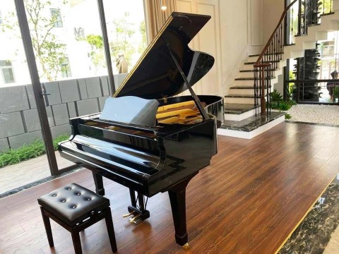  3 Tiêu Chí Chọn Đàn Piano Cho Người Chơi Chuyên Nghiệp