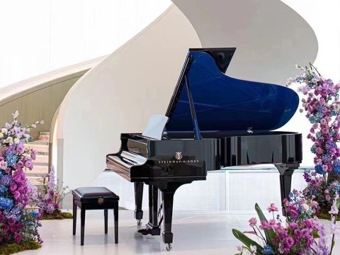 Steinway B-211