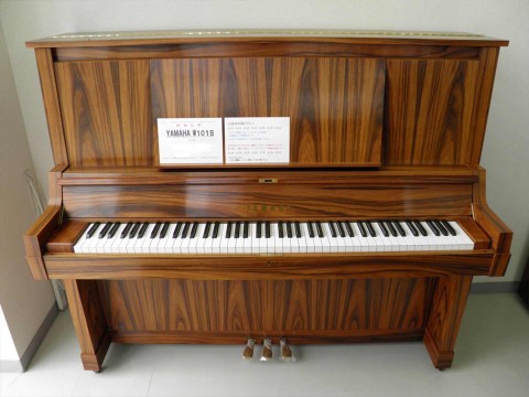 Chọn màu đàn Piano hợp Phong Thuỷ