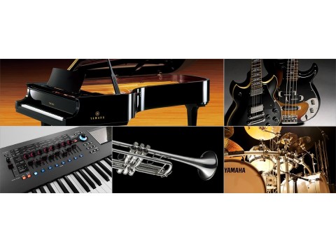 Nên chọn đàn piano Yamaha Roland hay Kawai ? 