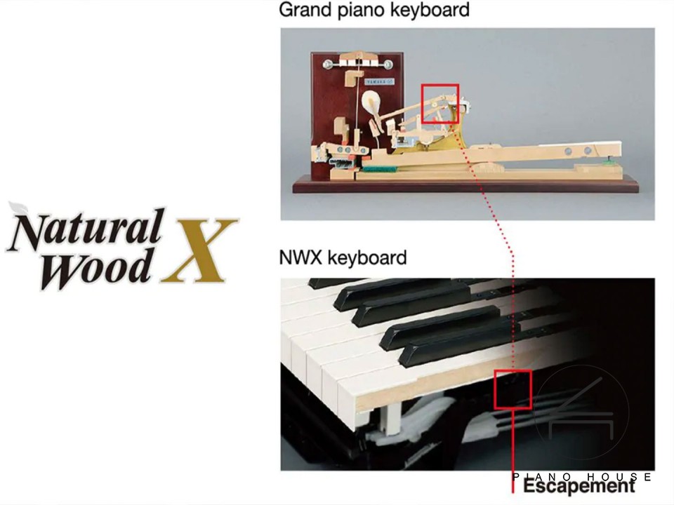 hệ phím gỗ tự nhiên nwx yamaha piano